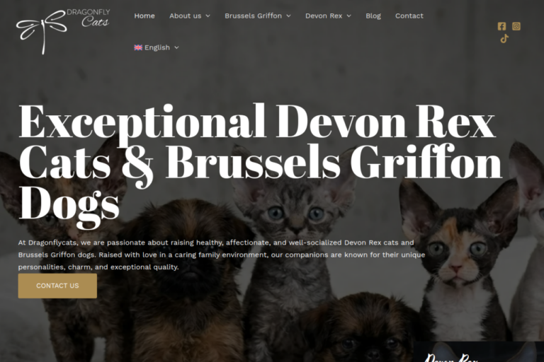 Site Web DragonflyCats — version ordinateur